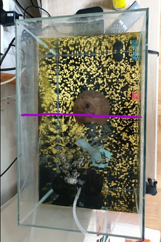 [ũ] ׿ и ...Ÿ 10mm ɱ? 簡 ƴ϶.. ġ궧 ڷ µ...׺ 1mm ۰ ص ġ ǳ?ó  ġϰ... ̰ 23.5 ŵ...
