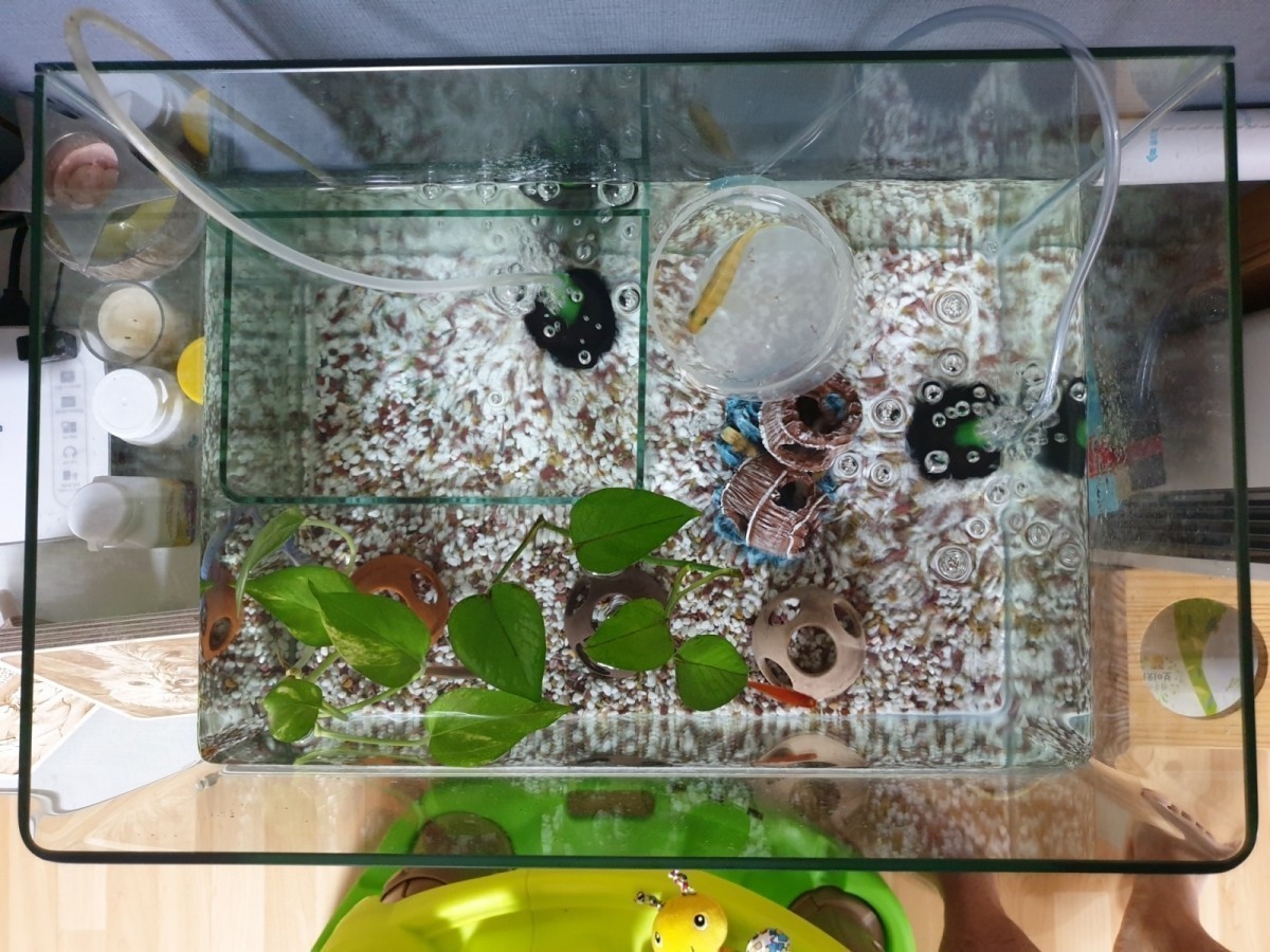 [ũ] [ Ѳ]1.   450  3002. ưư β 5mm(  ̰ ö󰡼)3.  Ÿ4. ÷  ó ڴ 簢  ձ 𼭸 5. ʿ  ȣٰ ⼱  ִ  ʿ䡦