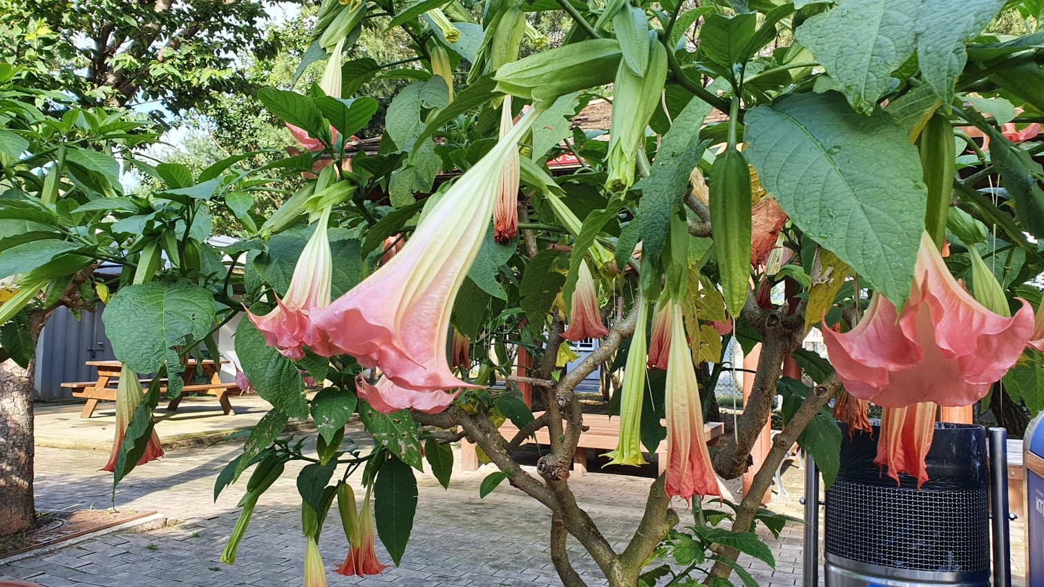 [ũ] ް ٷ ֹϷմϴ