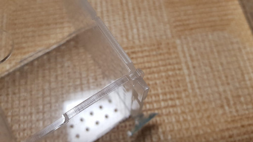아크릴 격리통 - 걸이식 부화통 구피 치어 산란 베타 내부 수조 어항 수족관 새우 리뷰 사진 1 - pa 님
